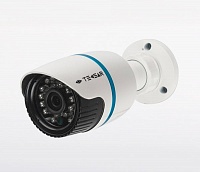 Уличная IP-видеокамера Tecsar IPW-1.3M-20F-poe