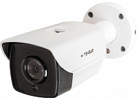 Видеокамера AHD уличная Tecsar AHDW-3M-100F-light