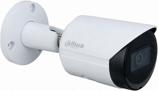 IP видеокамера Dahua DH-IPC-HFW2230SP-S-S2 (3.6 ММ)