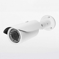 Уличная IP-видеокамера Tecsar IPW-2M-40V-poe/2